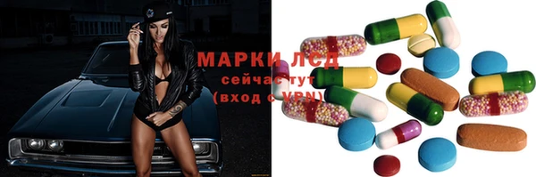 гидропоника Алзамай