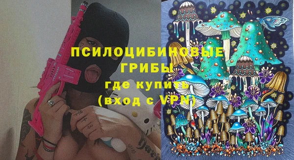 мет Алексин