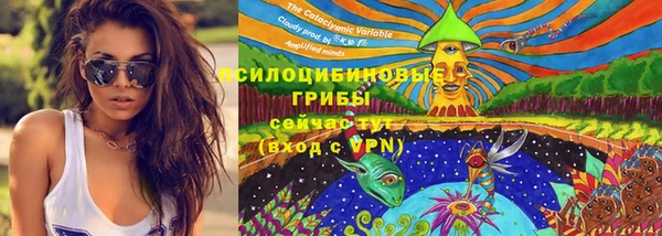 гидропоника Алзамай