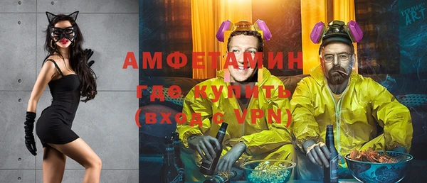 мет Алексин