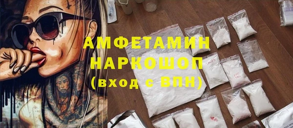 мет Алексин