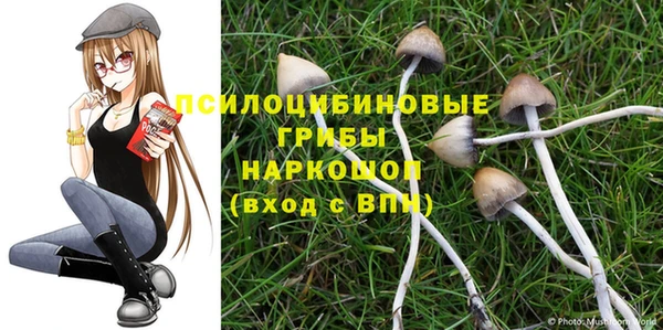 а пвп мука Алексеевка