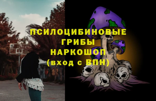 а пвп мука Алексеевка